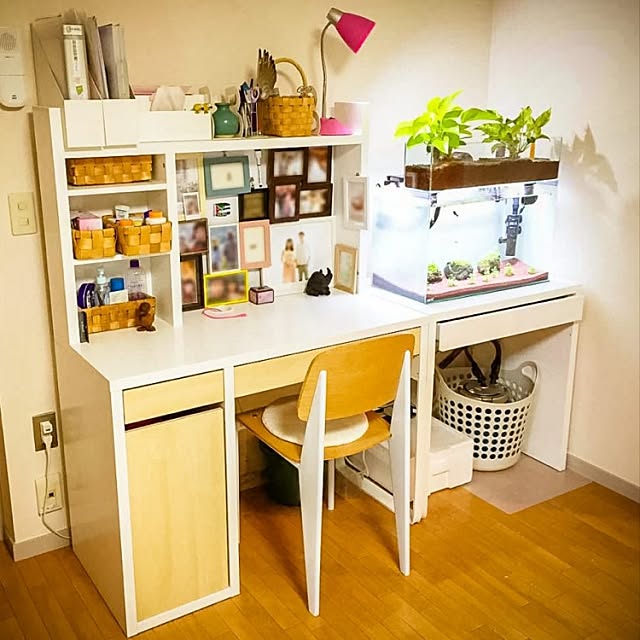 My Desk,写真フレーム,水槽台,MICKE,IKEA,観葉植物,セリア,アクアポニックス,熱帯魚 noaru_takahshiの部屋
