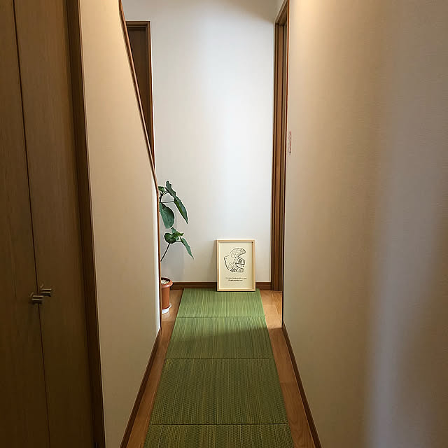 ウンベラータ,い草のある暮らし,イケヒコ・モニター,ヒコラー,い草,Entrance,ユニット畳 maron915の部屋