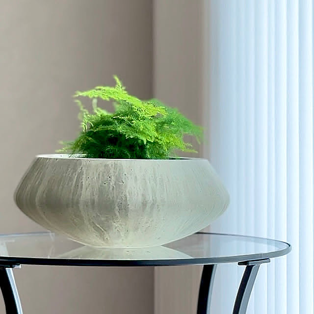 Lounge,ACTUS,観葉植物のある暮らし umiohouseの部屋