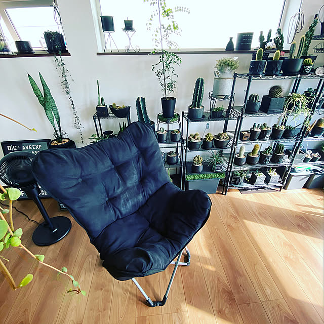 まったり時間,サボテン♡,サボテン,観葉植物の棚,観葉植物のある部屋,観葉植物のある暮らし,観葉植物,アウトドアチェア,インダストリアル,お家時間の過ごし方,インダストリアルインテリア,My Shelf,趣味スペース,趣味部屋 kyananの部屋