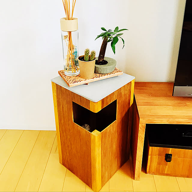 モルタル,ごみ箱,ごみ箱DIY,ナチュラル素材,DIYのある暮らし,インテリア,DIY,Bedroom ktm6365の部屋
