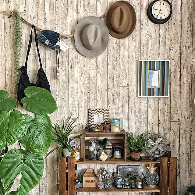 On Walls,帽子収納,すのこ,DULTON,見せる収納,【植中毒】,流木,植物のある暮らし,WTW,DIY,古材,古道具 chobiの部屋