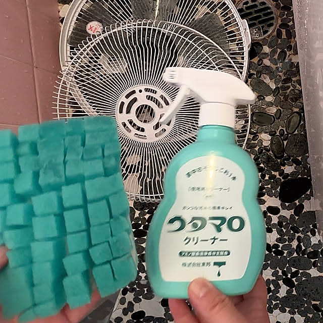 Bathroom,扇風機お掃除,扇風機掃除,LET'S ラお掃除,キレイを保つ掃除のヒント,キレイを保つコツ,キレイを保つためのアイデア,キレイを保つ,水流で,スポンジさいの目切り,みんな大好きウタマロ,ウタマロクリーナー,オンボロアパート,自由研究,昭和物件,築60年以上,築60 SIELUの部屋