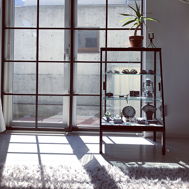 丁寧に暮らしたい,シンプルな暮らし,晴れた日,ニトリラグ,格子窓枠DIY,リビング,植物のある生活,ベルメゾン,Overview asaの部屋