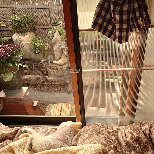 Bedroom,主人のDIY akaidarumaの部屋