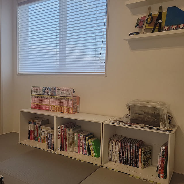 Overview,読書スペース,和室,たたみコーナー,カラーボックス,2段カラーボックス,ニトリ,日本の歴史,歴史好き,虫好き,小学生男子,本棚,本収納,子供のいる暮らし,IKEA,ウォールディスプレイ,カナヘビ,読書の秋,読書タイム,図書館みたいな♡,図書館風,こどもスペース♡,爬虫類のいる暮らし maruの部屋