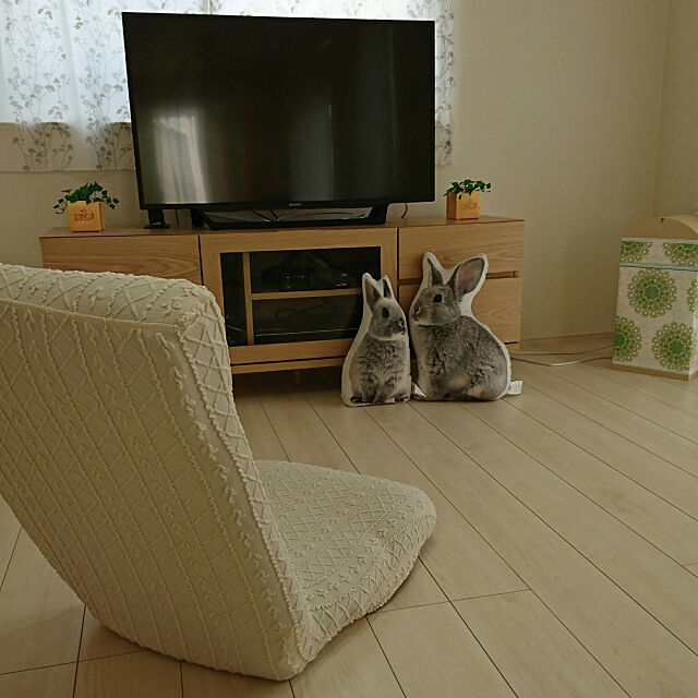 Lounge,ニトリ,ウサギのクッション,座椅子,座椅子カバー PAOの部屋