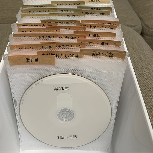 DVD収納,ダイソー piace_yloveの部屋