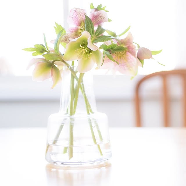 My Desk,一輪挿し,お庭,花のある暮らし,お庭のある暮らし,ガーデニング,半日陰の庭,生ける,クリスマスローズ,テーブル,ホルムガード,フラワーベース,花瓶,ガーデン,雑貨 pomeの部屋
