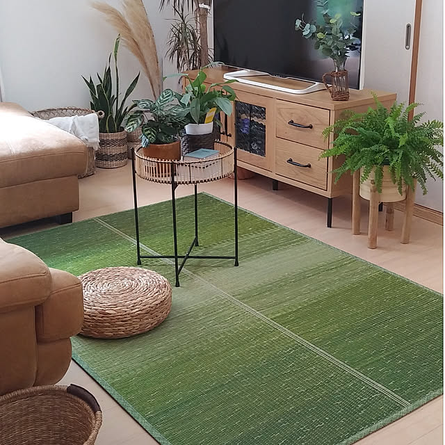 Lounge,こどもと暮らす,い草,ヒコラー,イケヒコ・モニター,い草のある暮らし,インドアグリーンのある暮らし,ボーホースタイル,建て売り一戸建て,観葉植物,育児日記,ニトリ,三兄弟,BOHO,ミックスインテリア,建売り一戸建て YU-KAの部屋