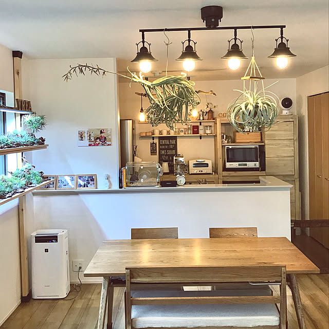 我が家の観葉植物,観葉植物,エアプランツ,家カフェ,いいね、フォロー本当に感謝デス☺︎,植物,cafe,NO GREEN NO LIFE,イオナンタ フエゴ,カフェ風,掃除,ティランジア,カフェ,イオナンタ,暮らしを楽しむ,フォロー凄く嬉しいです！,カフェ風インテリア,カフェ風インテリアを目指して,バンハイニンギー,観葉植物,植物のある暮らし,アンプールさんの照明,照明,アンプール,Overview youの部屋
