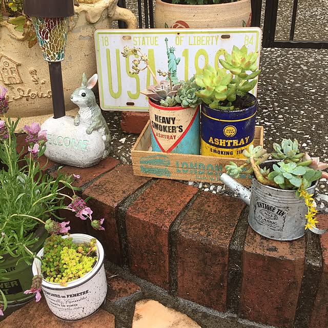 Entrance,多肉,ハンドメイド,ダイソー,雑貨,植物,100均 takoの部屋