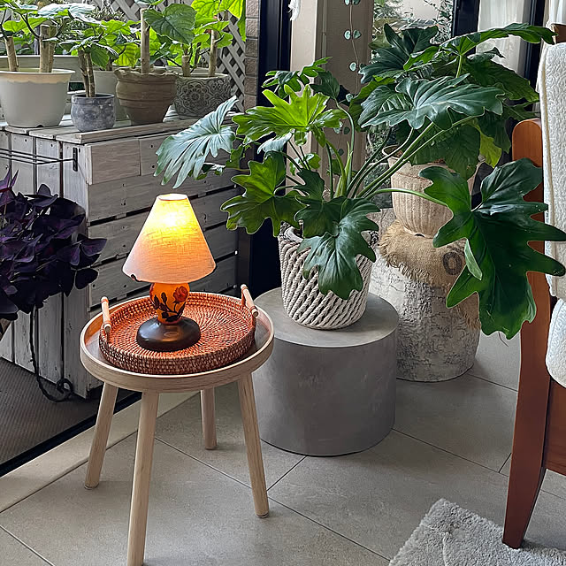 Lounge,コンクリート柄,ダイノックシート,フラワースタンド,サイドテーブル,花台,リメイク,元ゴミ箱,DIY,3COINS,Salyu！,ディスプレイテーブル momo_sanの部屋