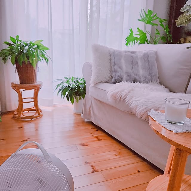 ホワイトインテリア,ナチュラルインテリア,掃除,ボタニカルライフ,ボタニカルインテリア,心地よい暮らし,季節を楽しむ暮らし,癒しの空間❁*.ﾟ,Room Clipを楽しむ時間♡,2枚投稿です♡,Lounge surviveの部屋