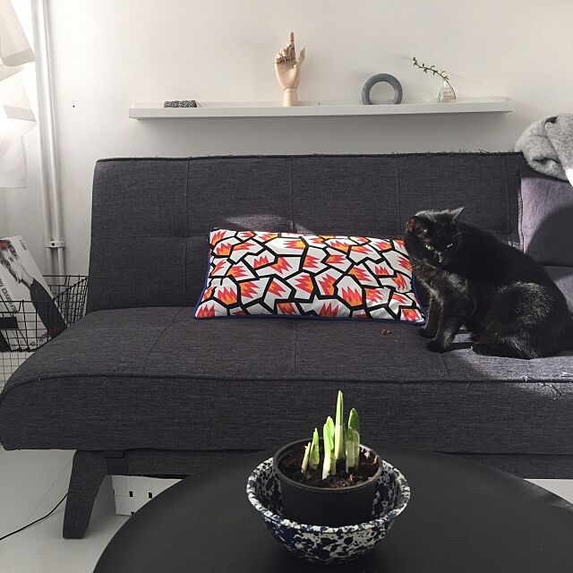 Lounge,猫,黒猫,シンプル,ねこのいる日常,いつもいいね！ありがとうございます♪,ミニマリスト,花のある暮らし,HAY awachan77の部屋