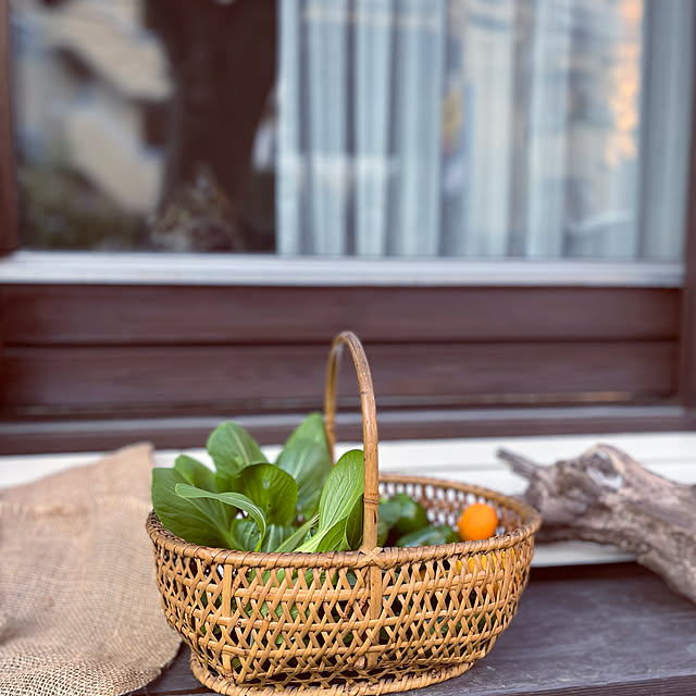 生活の道具,竹籠,かごバスケット,スウェーデンハウス窓,猫と暮らす,植物のある暮らし,家庭菜園,庭の植物で楽しむ,Entrance botanの部屋