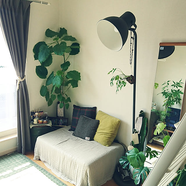On Walls,賃貸,1R,楽天,楽天で買ったもの,100均,植物,一人暮らし,くつろぎ空間,無印良品,照明 nico25の部屋