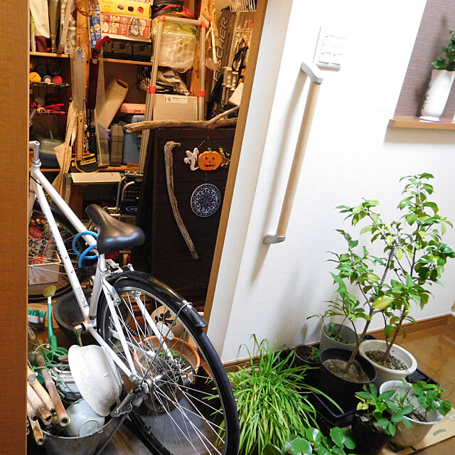 Entrance,台風対策,自転車,植木鉢,土間収納,ハロウィン,ツバキ yasu10の部屋