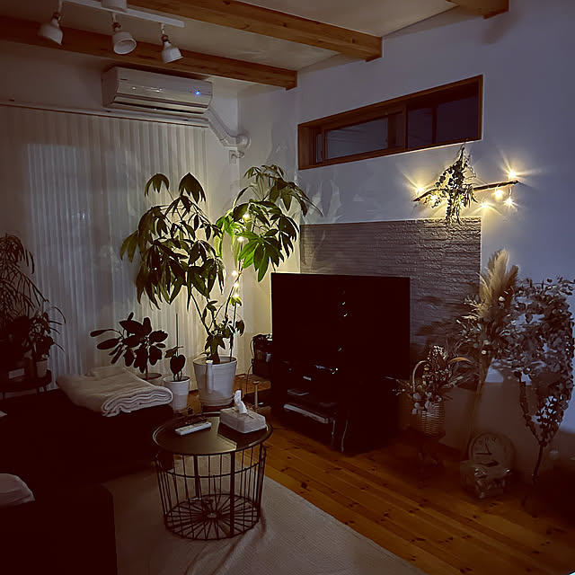Lounge,ダイソーライト,シンプル,シンプルが好き,いいね！ありがとうございます◡̈♥︎,すっきり暮らす,シンプルな暮らし,リラックス空間,観葉植物のある暮らし,インテリア好き,心地よい暮らし,リビング２０畳,エコカラット i-chanの部屋