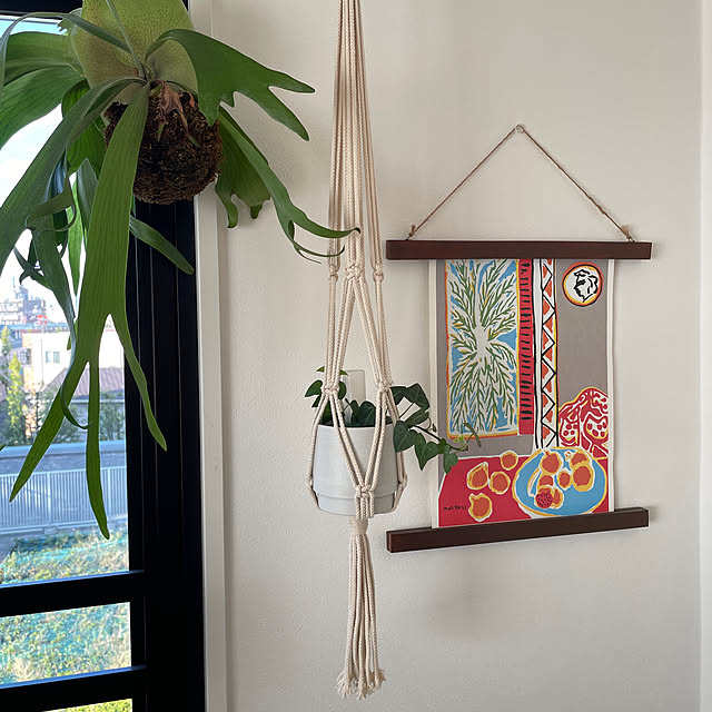 アートのある暮らし,On Walls,ダイソー,マティス,観葉植物,グリーン,観葉植物のある暮らし,苔玉,イベント参加 A.Iの部屋