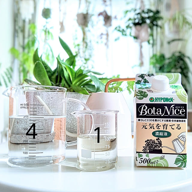 観葉植物,多肉植物,植物のある暮らし,虫対策,BotaNice,2022.7.3,モニター投稿,グリーン,URBAN GREEN LIFE,自然を感じる暮らし,NO GREEN NO LIFE,My Desk YuriYuriの部屋