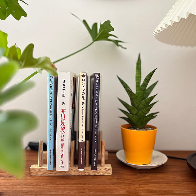 My Shelf,100均アイテム,ディッシュスタンド活用法,本立て,ダイソー　ディッシュラック siosai10の部屋