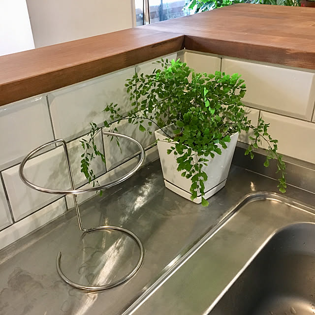 Kitchen,清潔,洗いやすい,ポリ袋ホルダー,三角コーナー,下村企販,新商品買ったよ！ kan2の部屋