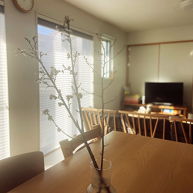 Lounge,桜,おうちをキレイに保つ習慣,ニチベイ,レフィーナ25 Haruの部屋