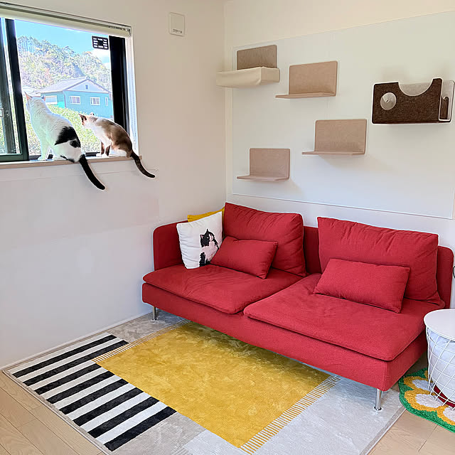 Lounge,猫壁(にゃんぺき),キャットウォーク,ラグ,インテリア,猫,ねこのいる日常,猫のいる風景,ねこと暮らす imomusiの部屋