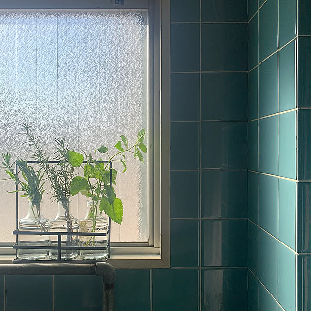 ハーブ,アイアン素材,昭和レトロ,ひとり暮らし,Kitchen,水耕栽培 nao.roomの部屋