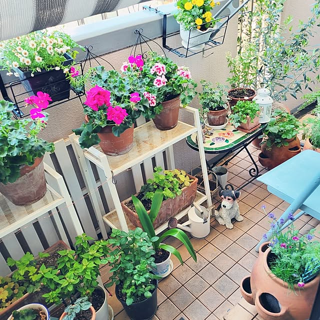 Overview,花のある暮らし,カフェ風,マンション暮らし berryberryの部屋