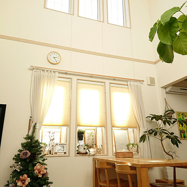 Overview,家づくり,窓辺,吹き抜けリビング,癒し,Botanical Style,クリスマス nao525の部屋