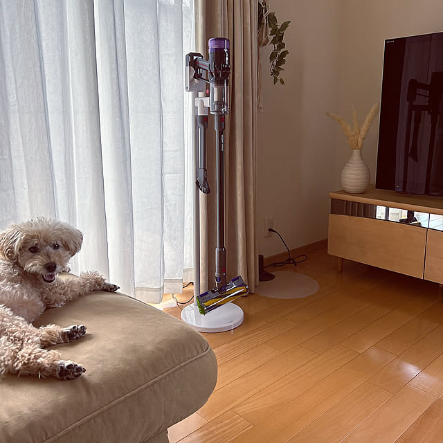 DysonMicroPlus,Dyson,トイプードルと暮らす,いぬのいる暮らし,いぬと暮らす,ハンディー掃除機,スティック掃除機,ご褒美アイテム,掃除機,ダイソン,最近買った物,コードレス掃除機,ダイソン掃除機,ダイソンコードレス掃除機,ダイソンスタンド,最新モデル,最新家電,ダイソンmicro,IKEA moooの部屋