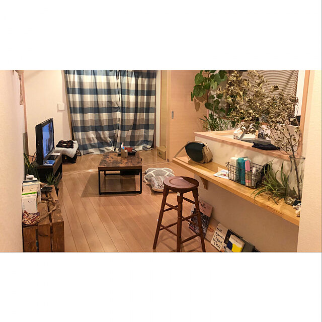 雑貨,観葉植物,ニトリ,一人暮らし,Overview Marincoの部屋