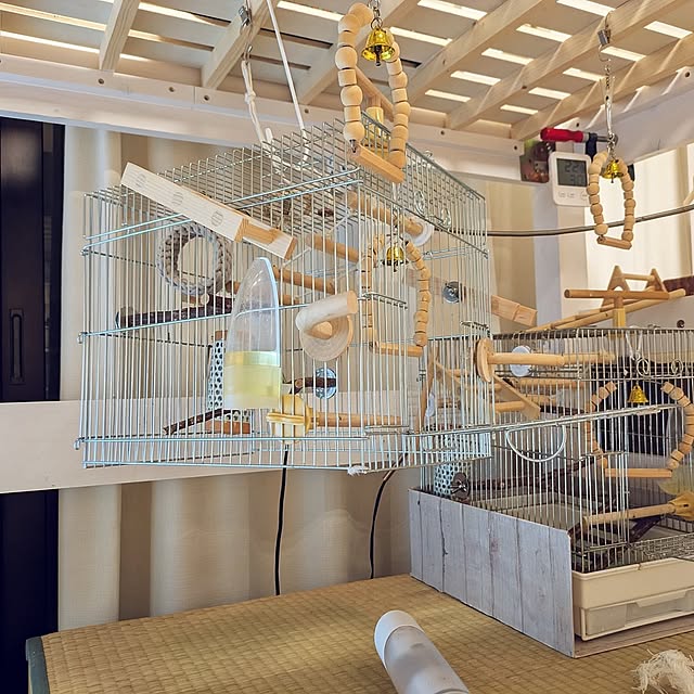 Lounge,ひとり暮らし 1K,文鳥のいる暮らし,文鳥,鳥小屋掃除 escargotの部屋