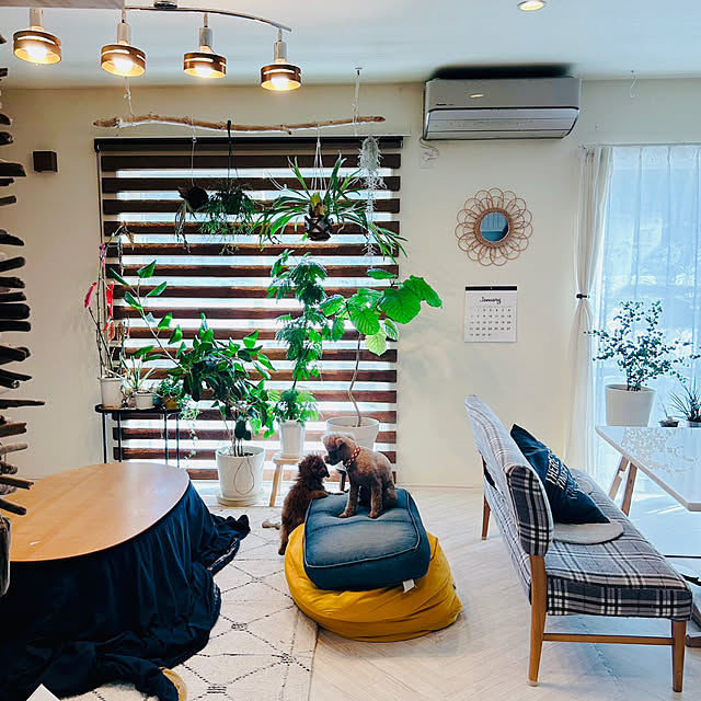 Lounge,家族がくつろげる場所,無印良品,ダイソー,IKEA,リビング,癒し,salut!,白い部屋,田舎暮らし,しまむらのラグ,犬のいる暮らし,ペットと暮らす家,グリーンと暮らす,グリーンのある暮らし,暮らしを楽しむ,窓辺のインテリア,流木インテリア,ヘリンボーン柄,トイプードルと暮らす,トイプードル多頭飼い,見て頂きありがとうございます⑅︎◡̈︎*,タンスのゲンのジョイントマット,グリーンが好き♡,多頭飼い始めました！,ロールスクリーン,リフォライフさん nononの部屋
