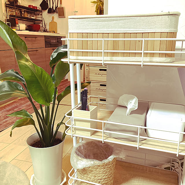 Lounge,ダイソー,雑貨,100均,DIY,セリア,リノベーション,中古を買ってリノベーション,観葉植物,カフェ風,ナチュラル HANAの部屋