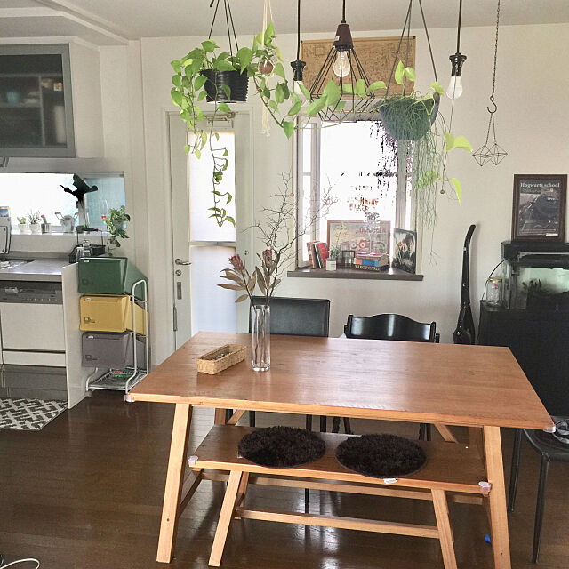 Overview,観葉植物,ダイニングテーブル＆チェア ayagata9の部屋