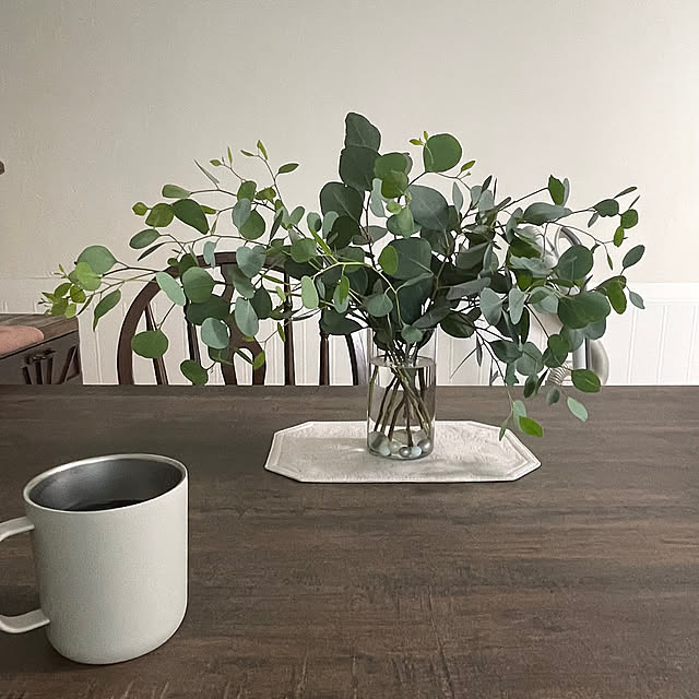 Lounge,お買い得,ユーカリ,割れない,水栽培用,球根ベース,枝もの,花のある暮らし,NO GREEN NO LIFE,ガーデニング shiropenguinの部屋