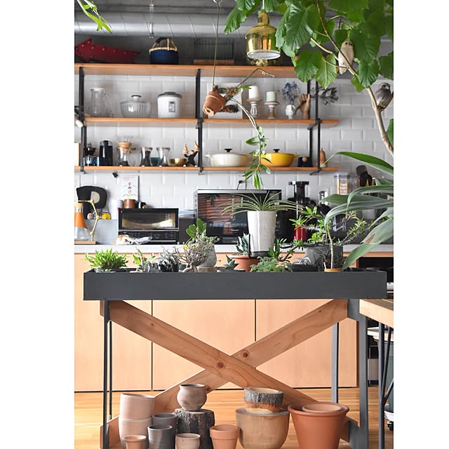 My Shelf,NO GREEN NO LIFE,アルファベットオブジェ,ゴールデンベル,ルクルーゼ,植物,素焼き鉢,植物のある暮らし aaniの部屋