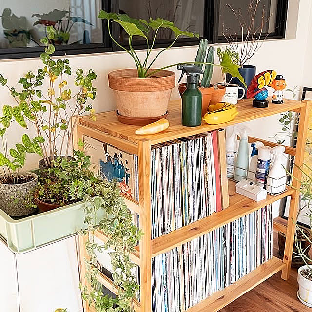 無印良品,My Shelf,D&DEPARTMENT,観葉植物 yasomeの部屋