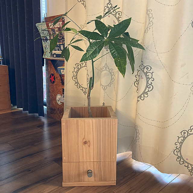 観葉植物,観葉植物のある暮らし,ハンドメイド,DIY,カフェ風,低予算,DIYのある暮らし,古木材,収納DIY Grab_itの部屋