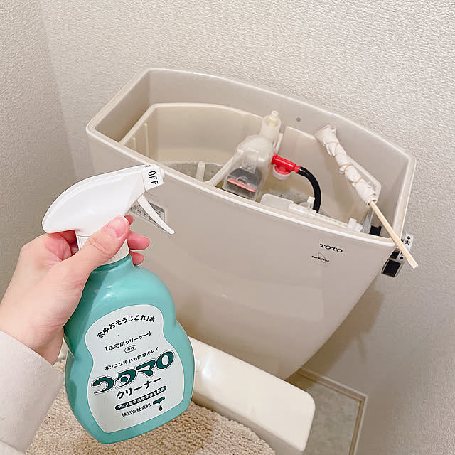 中性洗剤,トイレ掃除,マツイ棒,ウタマロ,トイレタンク,トイレタンクの掃除,二人暮らし,シンプル,賃貸,2LDK,Bathroom asuの部屋