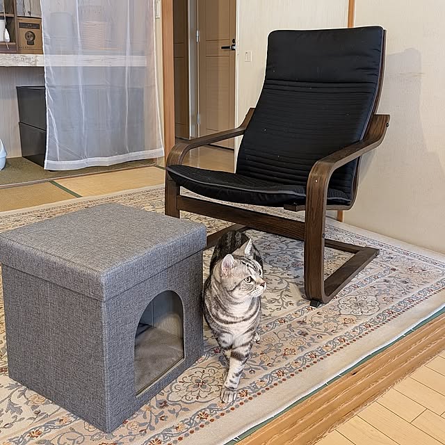 Bedroom,猫と暮らす家,猫と暮らす,ペットと暮らす,猫との暮らし,ニトリ,ニトリ購入品,ニトリの座れる室内用ペットハウス,イケヒコ,イケヒコ ウィルトンラグ lovepeaceの部屋