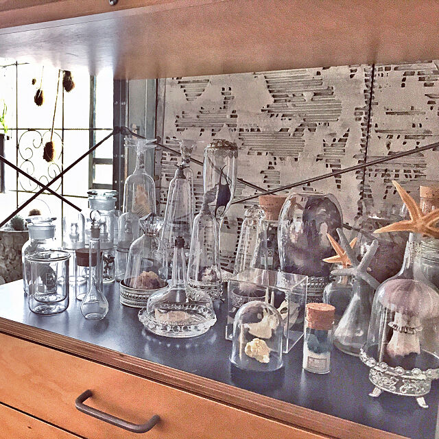My Desk,ガラスドーム風,標本,プラコップ,化石,飾るように暮らす,賃貸,クリエイティブをマインドに,博物学 kazaruyo-niの部屋