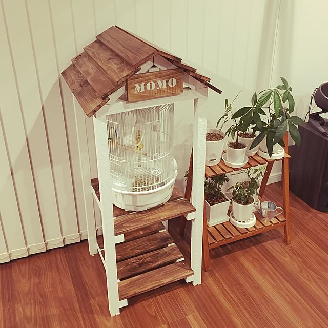 Lounge,鳥小屋DIY ,DIY,観葉植物,BRIWAXジャコビアン A-chanの部屋