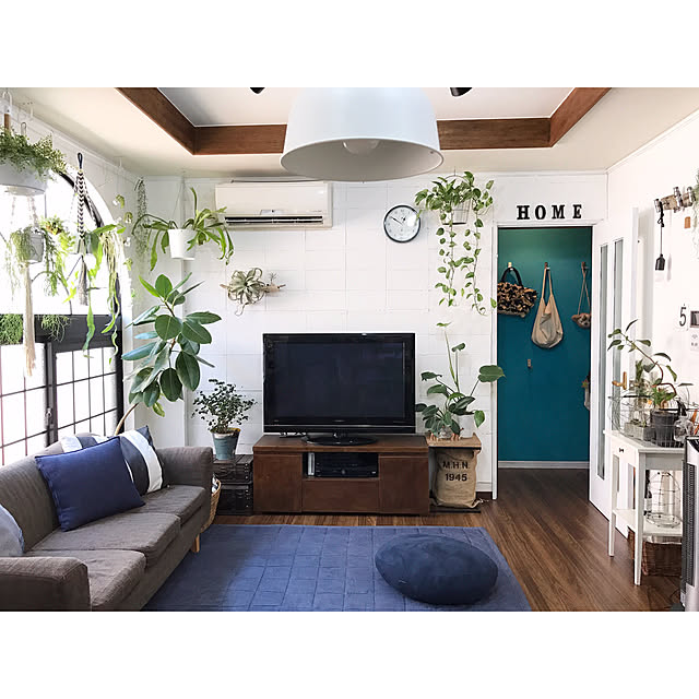 Lounge,植物,漆喰壁,DIY,中古住宅,グリーンのある暮らし,漆喰壁DIY,インスタ→kiki_nekko,いなざうるす屋さん,植物と暮らす,植物のある暮らし,ボタニカルライフ,IKEA 照明,無印良品ラグ,無印良品,無印,IKEA,もちもちクッション,ニトリ kiki_nekkoの部屋