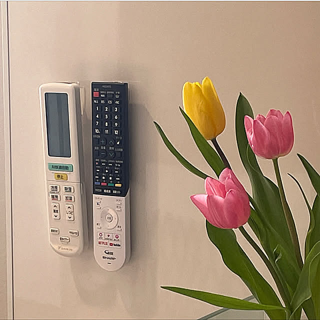 浮かせる収納,チューリップ,ダイソー購入品,ダイソー,DAISO購入品,くりぴたリモコンフック,倉庫の一角を住居にする,リモコン収納,倉庫の中に家を建てる,倉庫に暮らす,倉庫,倉庫で暮らす,Lounge SIELUの部屋