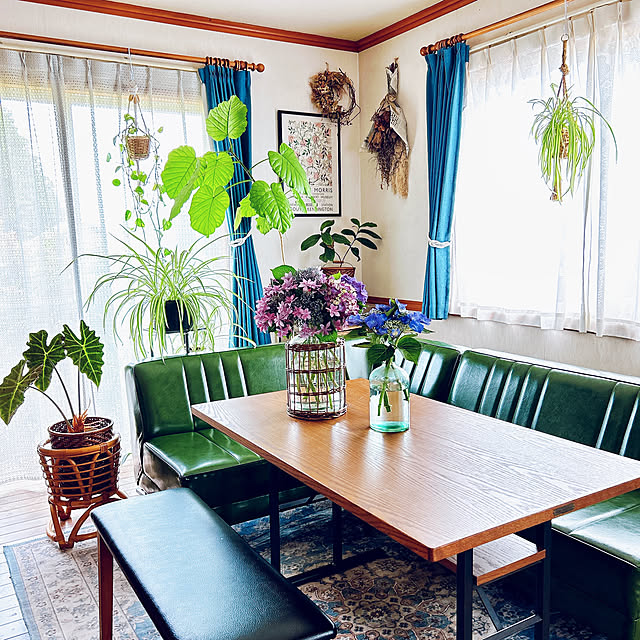 Lounge,平屋築31年,リビングダイニング,アジサイ,紫陽花,心地よい暮らし,注文住宅,平屋暮らし,観葉植物のある暮らし,ドライフラワーのある暮らし haruの部屋