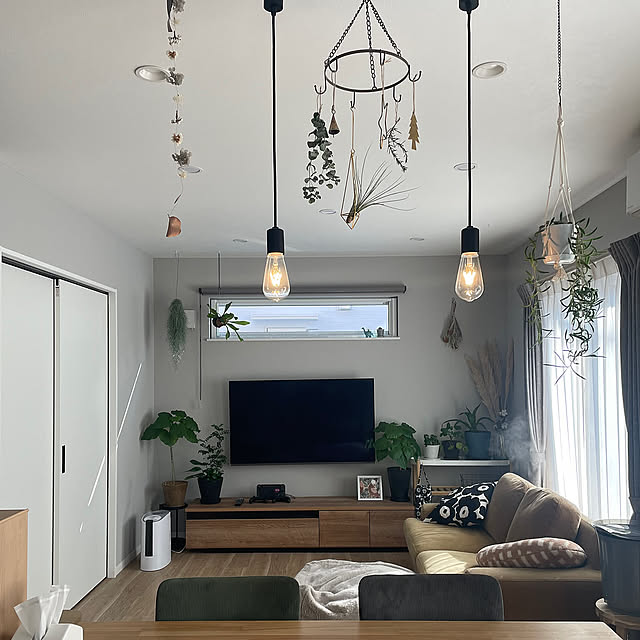 Lounge,ニトリ　クッション,unico ソファ,リビング,マリメッコ,ペンダントライト,壁掛けテレビ,グレーの壁,シンプルインテリア,グリーンのある暮らし,コイズミ照明,観葉植物のある暮らし,LIXIL窓,ハンギンググリーン kurinokiの部屋